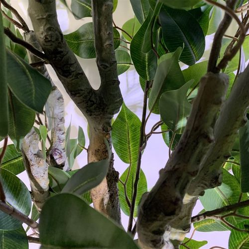 https://images.avasam.com/?url=https://avasamnew.s3.amazonaws.com/live/GB010188/S0671265918_14.webp&w=500