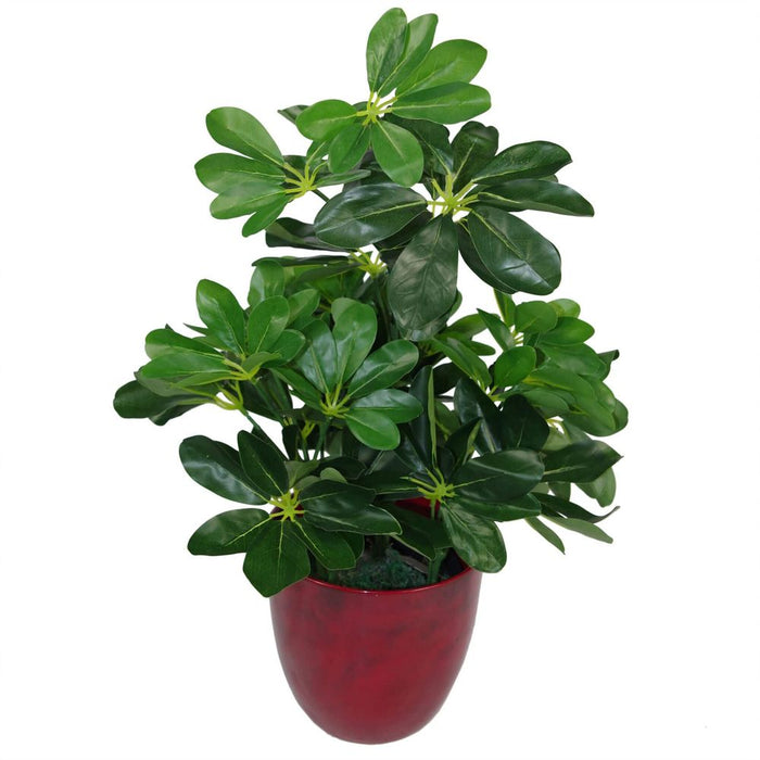 Artificial Dark Green Schefflera Arboricola Plant - 55cm