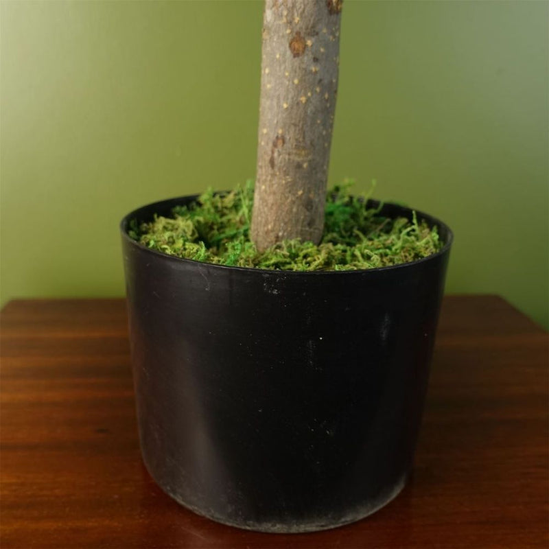 Premium Artemisa Evergreen Shrub - Lifelike & Durable - 70cm Tall
