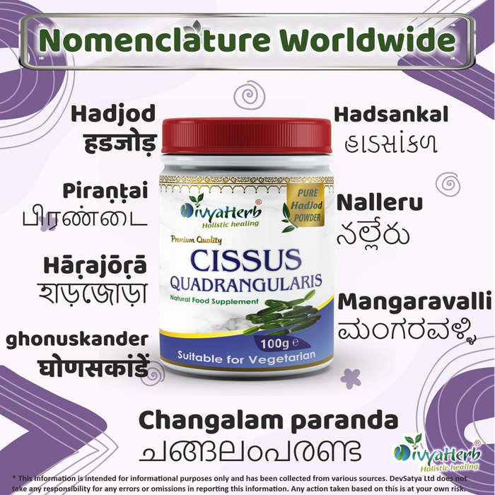 Cissus Quadrangularis Powder - Ayurvedic Superfood for Optimal Wellness