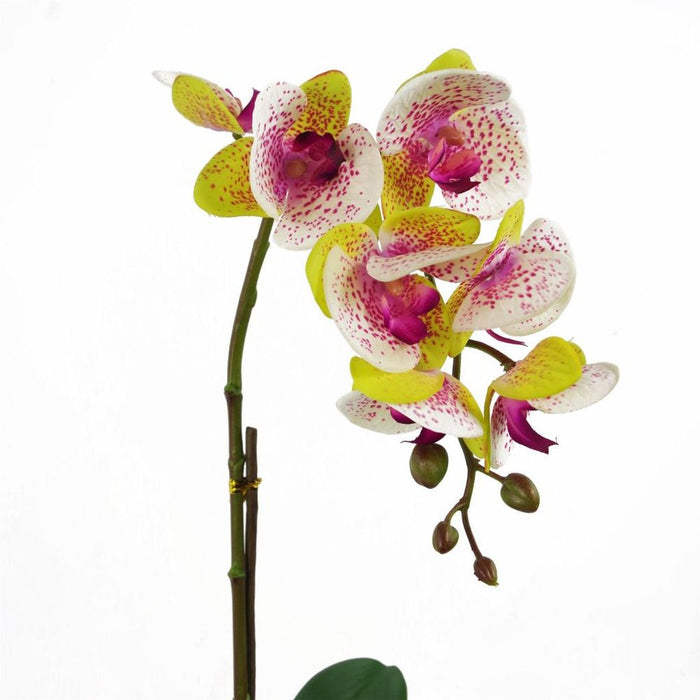 Premium Quality 46cm Artificial Orchid in Harlequin Pink - Silver Pot