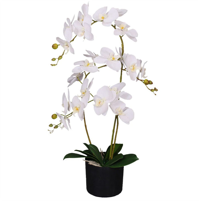 65cm Luxury Artificial Orchid - 3 Stems - White Plant - High Quality