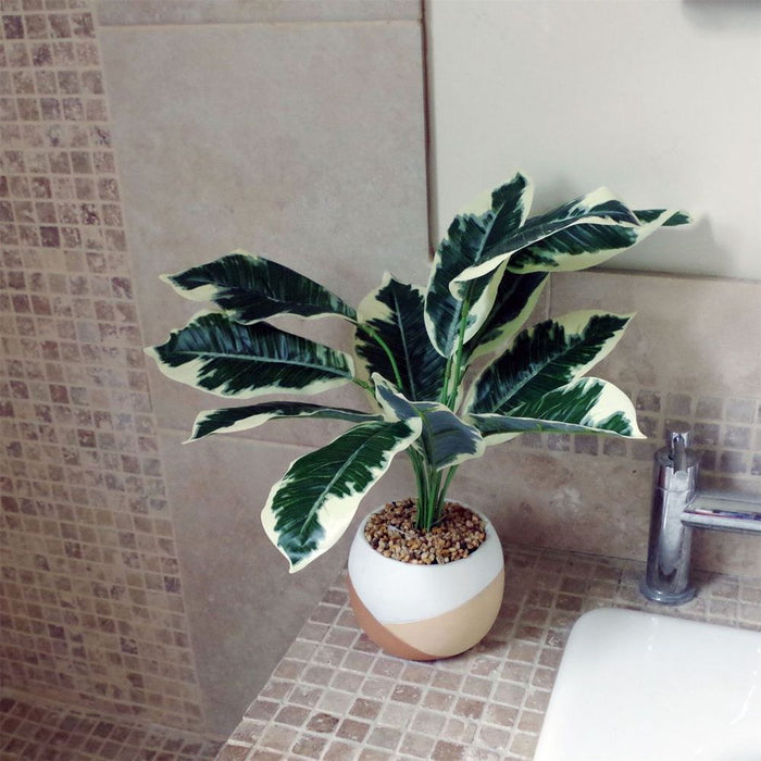 Premium 40cm Variegated Pothos Shrub: Realistic & Low-Maintenance with Planter