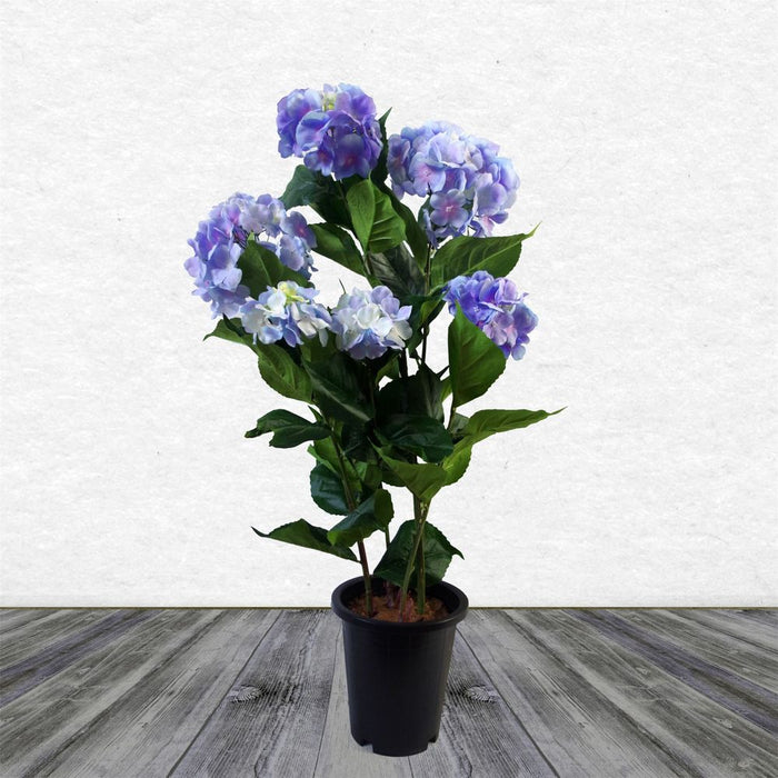 Premium Lifelike Blue Hydrangea Flowering Plant - Indoor Decor - Elegant Black Pot