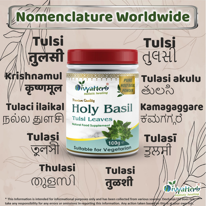 Holy Basil (Tulsi) Powder - Best Quality, Professional Seller - Buy with Confidence!