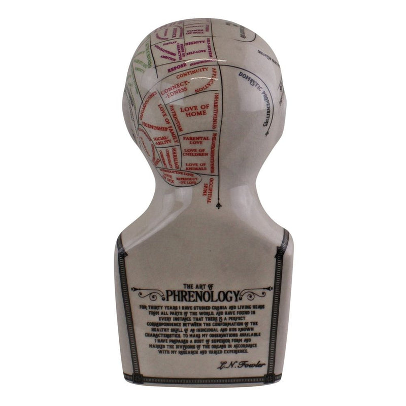 Premium Quality Small Ceramic Crackle Phrenology Head