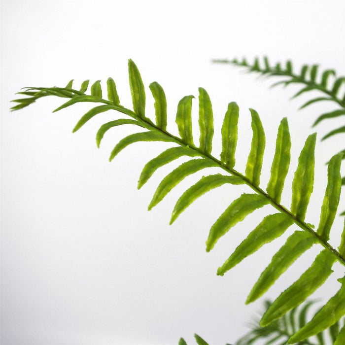 High Quality 50cm Fronded Fern Plant - Artificial, Realistic, Low Maintenance