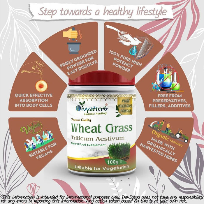 Premium Wheat Grass Powder - Superfood with 90+ Minerals, Essential Enzymes, & 19 Amino Acids!