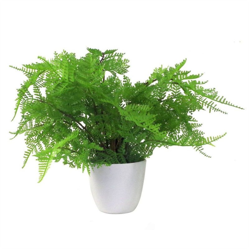 Pack of 3 x 30cm Artificial Ferns Southern Wood Lady and Royal Potted