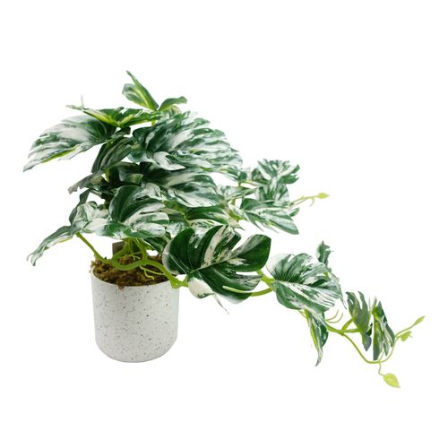 https://images.avasam.com/?url=https://avasamnew.s3.amazonaws.com/product/GB010188/S0671599760/1.png&w=500