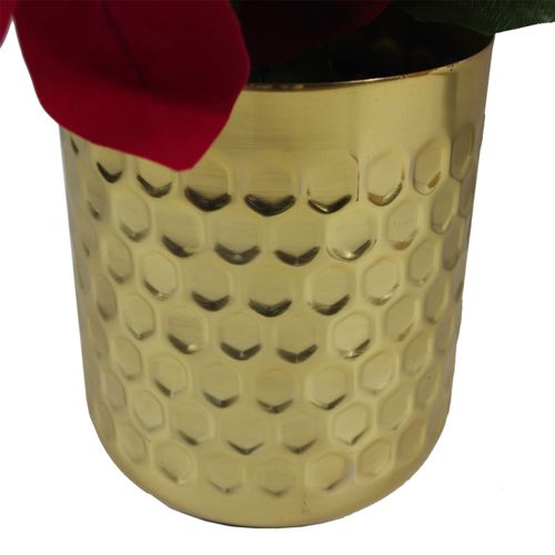 https://images.avasam.com/?url=https://avasamnew.s3.amazonaws.com/live/GB010188/S0671438523_13.jpg&w=500