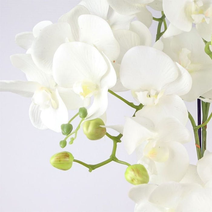 Exquisite 80cm Large White Orchid: 41 Real Touch Flowers