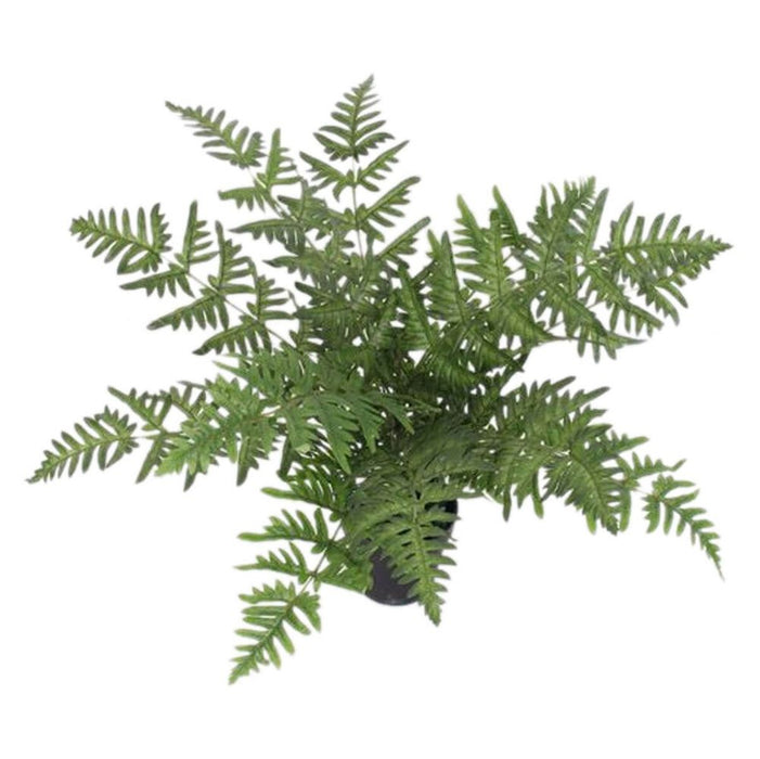 50cm Luxury Fern Plant - Realistic, High Quality Artificial Evergreen - Leaf Design