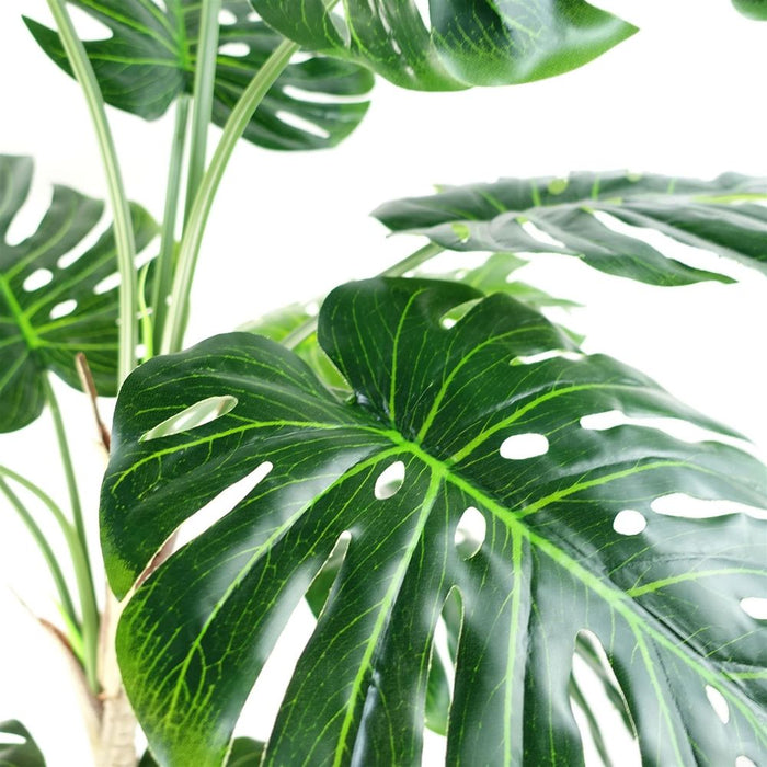 Luxury 150cm (5ft) Monstera Cheese Plant - Realistic, High Quality"
Description: "Experience the luxury of a realistic, high quality 150cm Monstera Cheese Plant. Comes potted in a sleek black pot. Perfect addition to any space.