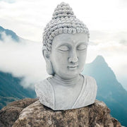 https://images.avasam.com/?w=500&url=https://avasamnew.s3.amazonaws.com/live/admin/4cf7f7ca-61a6-45e9-ba67-25029743377a.jpeg