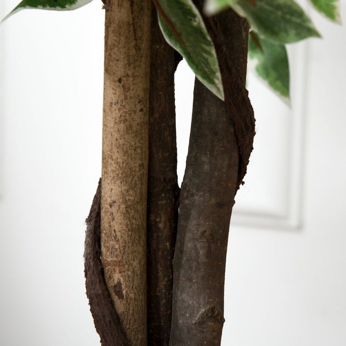 Realistic Ficus Silk Tree - Artificial Decorative Plant, 160cm - High-Quality, Low-Maintenance