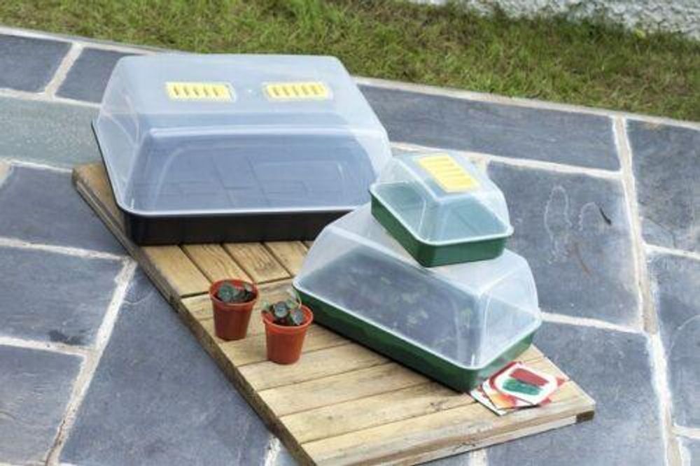 Premium Whitefurze G2666 7-Piece Windowsill Propagator Set - Green