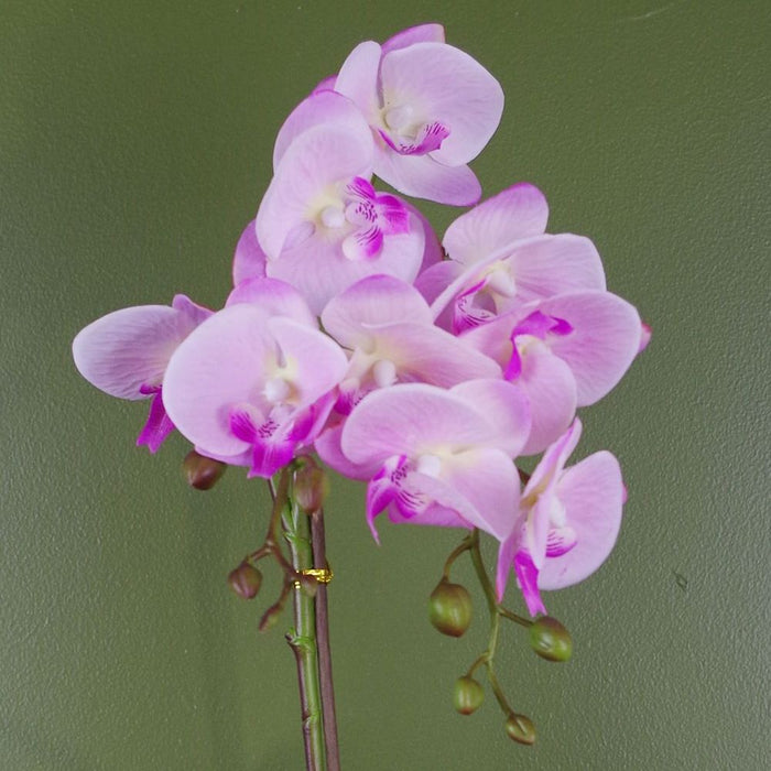 Premium 50cm Phalaenopsis Orchid Artificial - Light Pink Silver. Real touch leaves. Plastic decorative pot with fixed gravel topping.