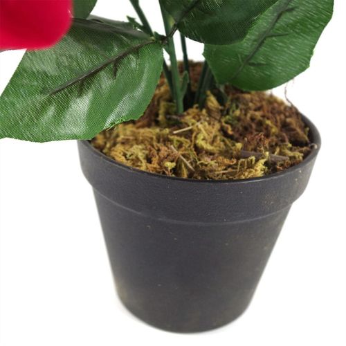 https://images.avasam.com/?url=https://avasamnew.s3.amazonaws.com/live/GB010188/S0671349170_14.webp&w=500