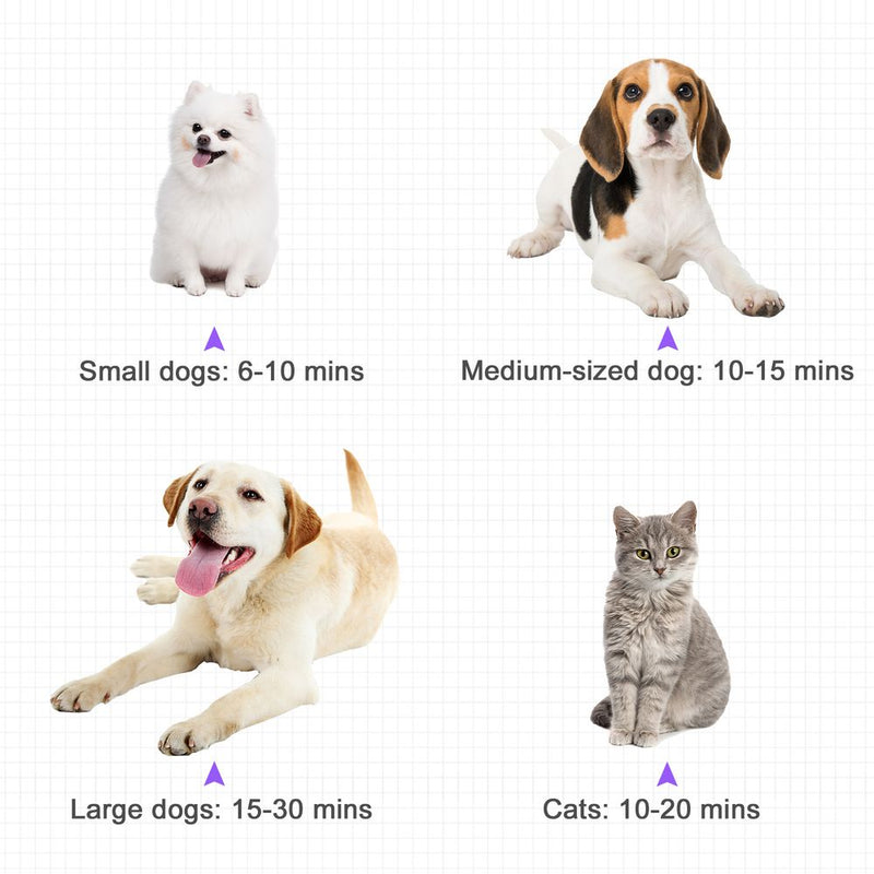 PawHut 2800W Dog Dryer Blaster Pet Grooming Hair Dryer Blower Adjustable Temperature Speed with 2.1M Flexible Hose 3 Nozzles - Purple