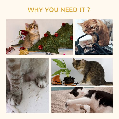 https://images.avasam.com/?url=https://avasamnew.s3.amazonaws.com/live/GB010126/S0671070892_16.jpg&w=500