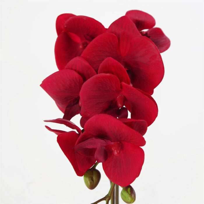 Premium Red Orchid: Realistic, Silver Pot