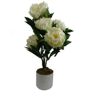 https://images.avasam.com/?url=https://avasamnew.s3.amazonaws.com/product/GB010188/S0671599761/main.png&w=500