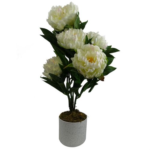 https://images.avasam.com/?url=https://avasamnew.s3.amazonaws.com/product/GB010188/S0671599761/main.png&w=500