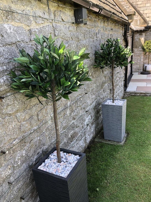 Pair of 120cm (4ft) Plain Stem Artificial Topiary Bay Laurel Ball Trees