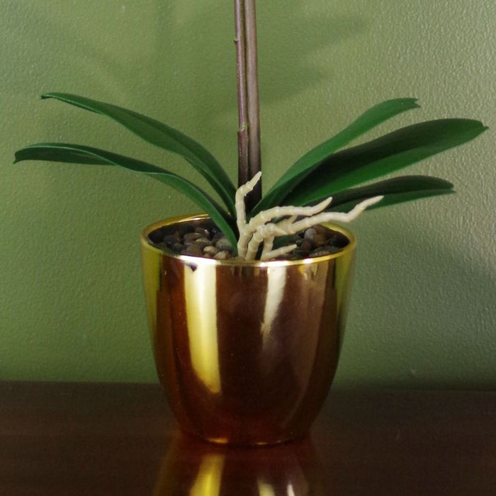 Premium Lifelike 46cm White and Gold Artificial Orchid