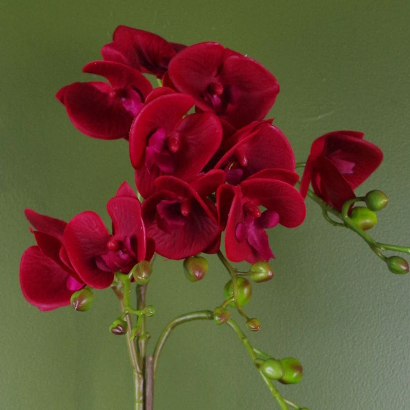 Realistic 50cm Dark Red Orchid - Gold Pot - Artificial Plant