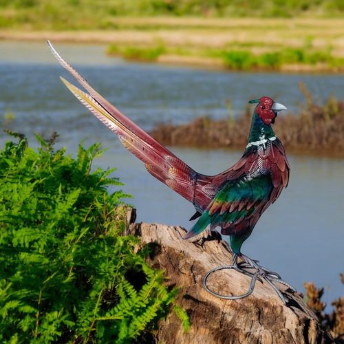 63CM BIRD