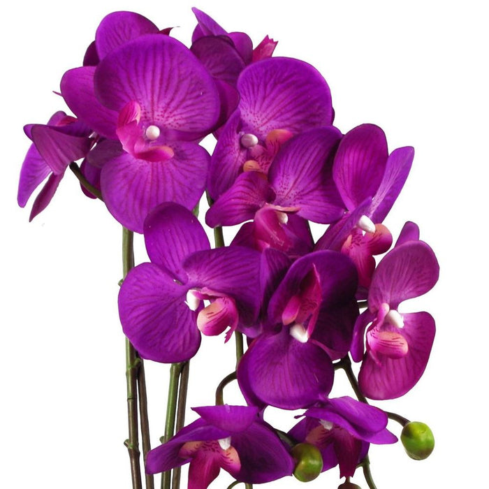 52cm Artificial Orchid Large - Purple / Gold