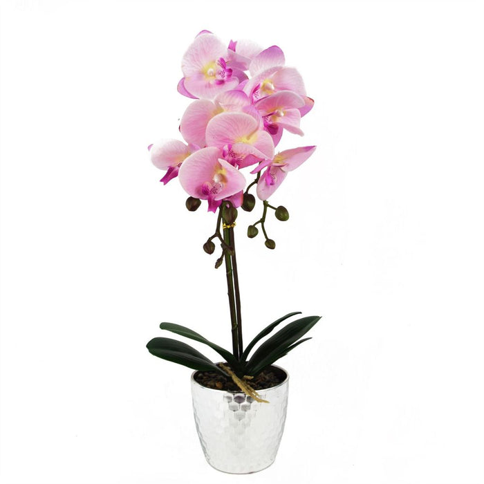 Realistic 50cm Pink Silver Phalaenopsis Orchid - High Quality Artificial Floral Decor