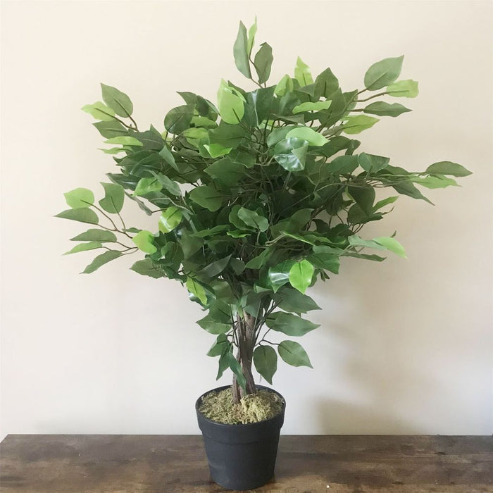 Premium 60cm Artificial Ficus Tree - Realistic Shape, Multiple Colors