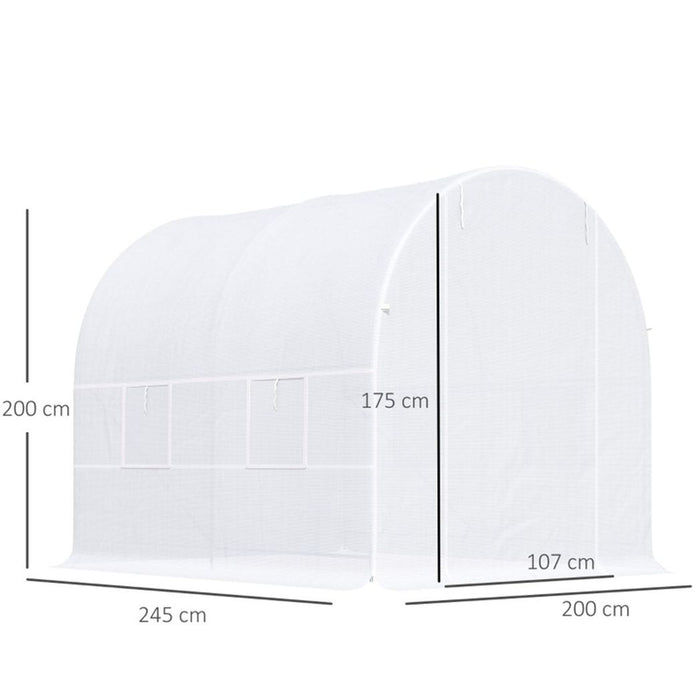 Polytunnel Greenhouse | Walk-in Green House