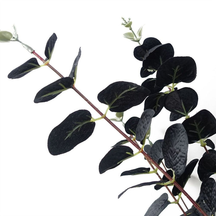 Premium Quality 80cm Black Eucalyptus Foliage Stems - Pack of 6