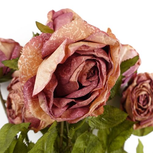 https://images.avasam.com/?url=https://avasamnew.s3.amazonaws.com/product/GB010188/S0671589498/5.png&w=500