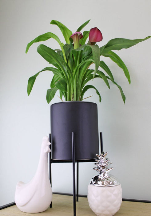 Minimalist Black Planter | Metal Stand | 28cm | Indoor/Outdoor Décor