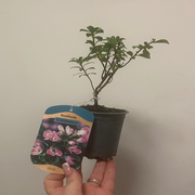 https://images.avasam.com/?url=https://avasamnew.s3.amazonaws.com/product/GB010245/S0671651077/4.png&w=500