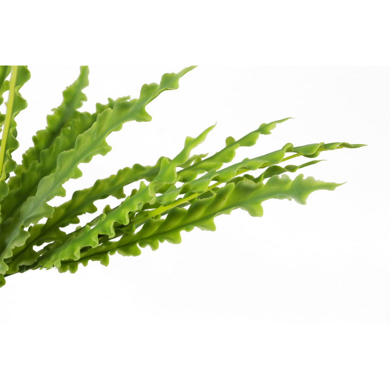 Premium Quality 40cm Artificial Crocodile Fern Plant