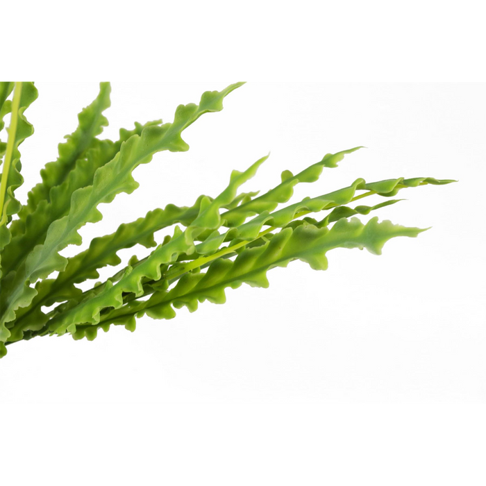 Premium Quality 40cm Artificial Crocodile Fern Plant