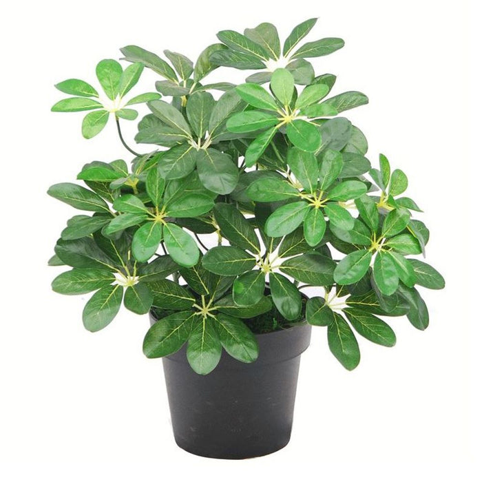 Artificial Dark Green Schefflera Arboricola Plant - 55cm