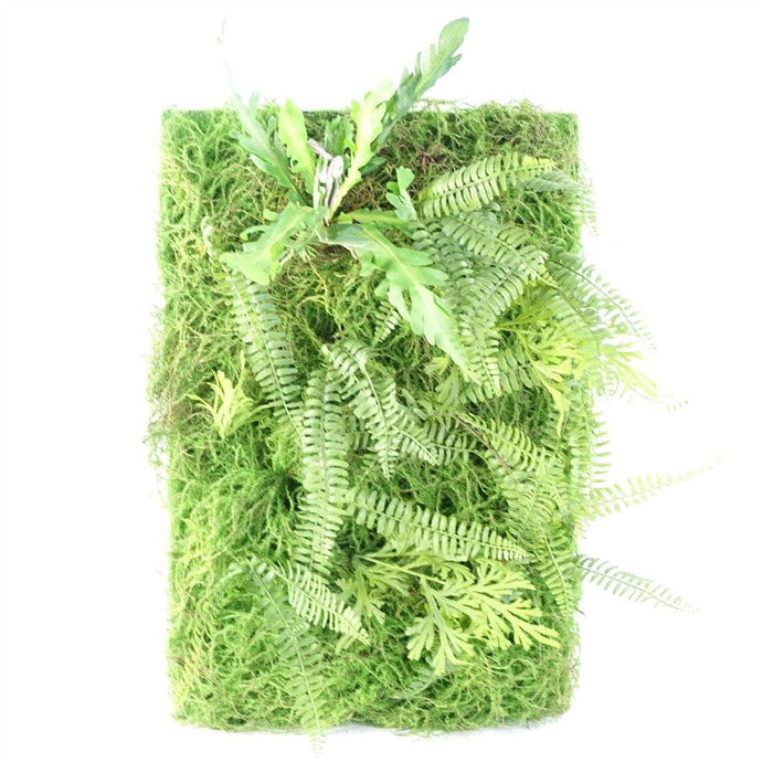 Premium 60cm Artificial Green Wall Fern - High-Quality 3D Panel with Moss & Ferns - Easy to Hang - Create Stunning Indoor & Outdoor Spaces