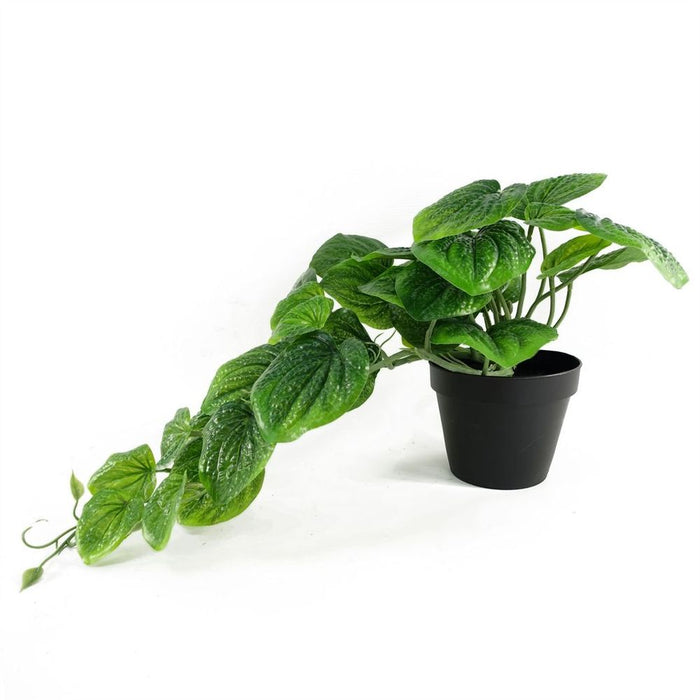 35cm Artificial Trailing Natural Pothos Plant - Realistic Quality - Luxurious Potted Display