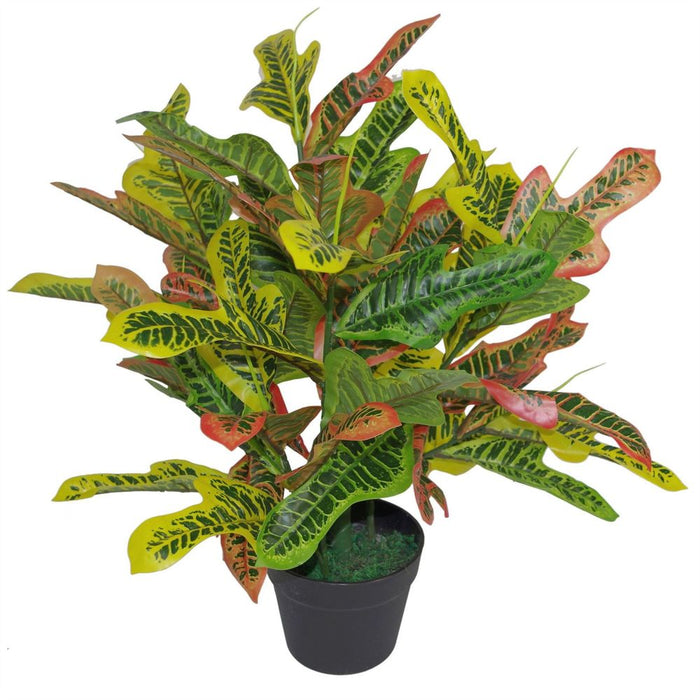 Premium 65cm Multicoloured Artificial Codiaeum House Plant