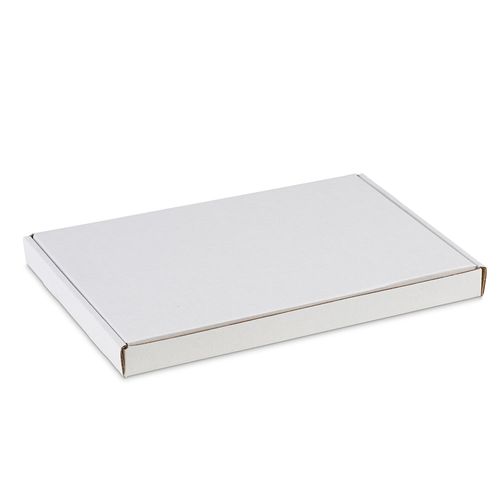 https://images.avasam.com/?url=https://avasamnew.s3.amazonaws.com/live//white_letter_postal_box.jpg&w=500