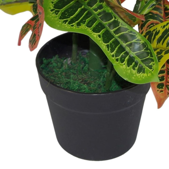 Premium 65cm Multicoloured Artificial Codiaeum House Plant