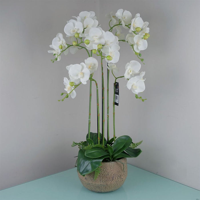 Exquisite 80cm Large White Orchid: 41 Real Touch Flowers