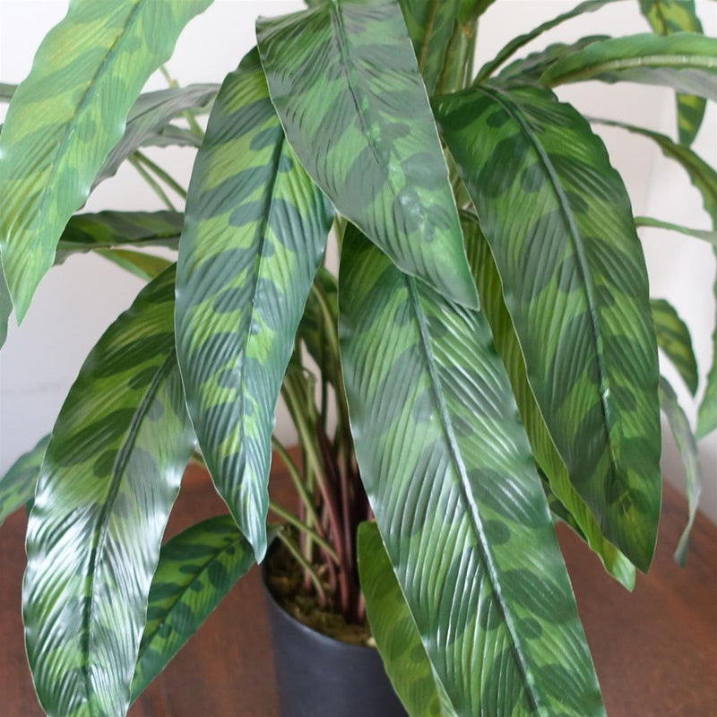 High-Quality 60cm Variegated Artificial Calathea Plant